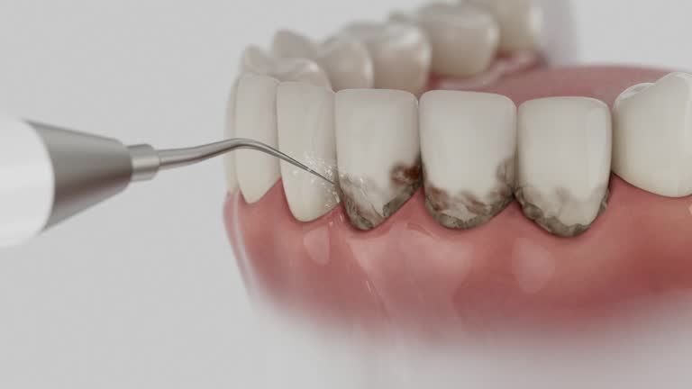 Reliable Teeth Cleaning And Checkup contractor in Hancock County County, ME by Dentist Open Now